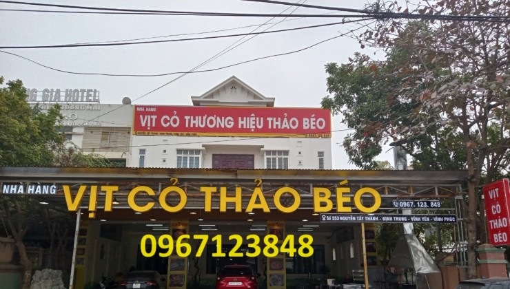 VỊT CỎ THẢO BÉO 85 Nguyễn Tất Thành, Định Trung, Vĩnh Yên, Vĩnh Phúc.